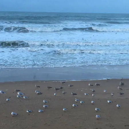 La Cornaline 1 度假居 *