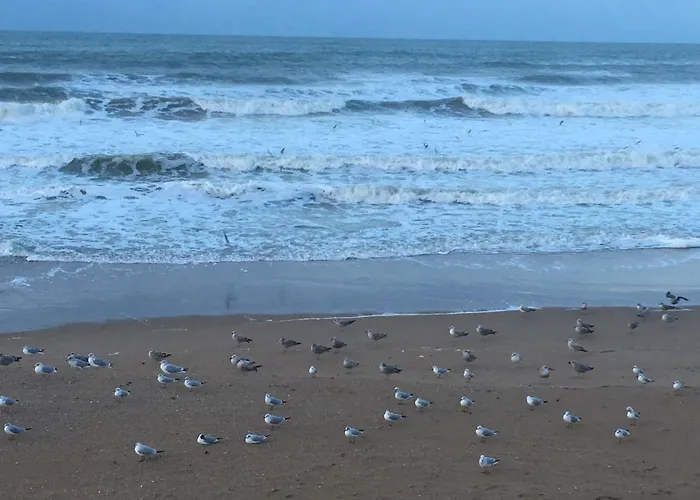 La Cornaline 1 Vakantiehuis *